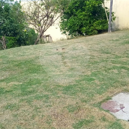 Sobrado à venda com 2 quartos, sendo 1 suíte, em Jardim Monte Verde, Valinhos, SP