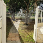 Apartamento à venda com 1 quarto em Cambuci, São Paulo, SP
