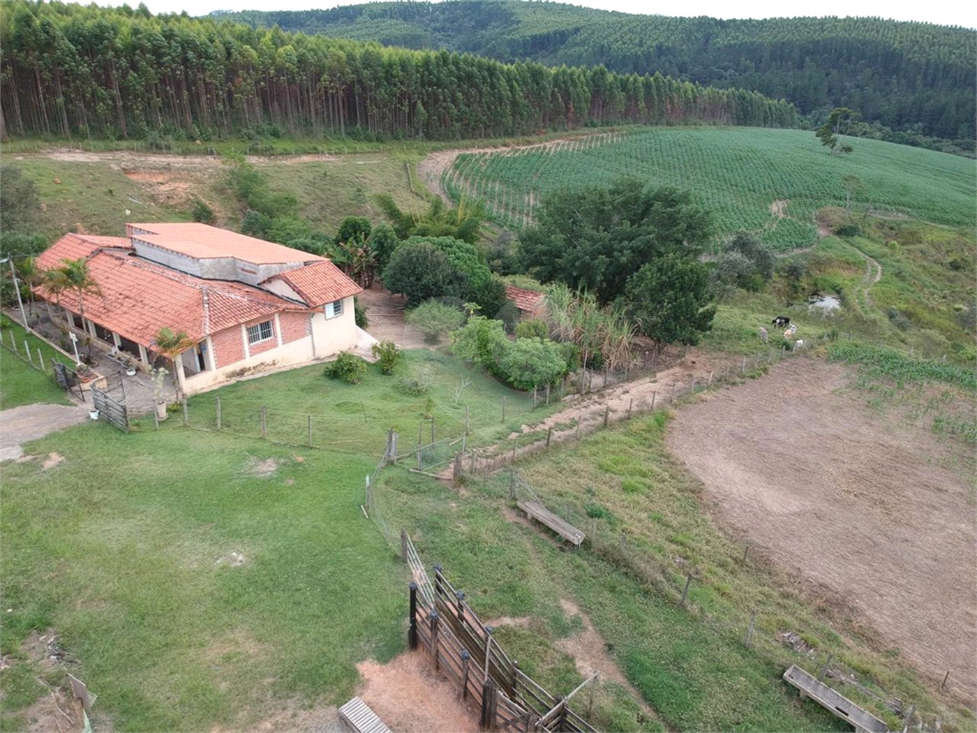 Sítio à venda com 3 quartos em Área Rural de São Miguel Arcanjo, São Miguel Arcanjo, SP