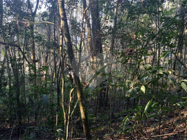 Terreno à venda em Serra da Cantareira, Mairiporã, SP