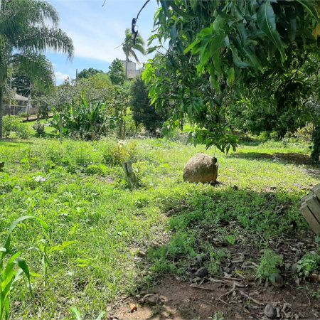 Terreno à venda em Cachoeira, Vinhedo, SP