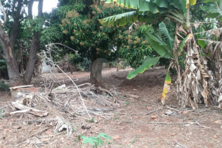Terreno à venda em Vila Judite, Itapetininga, SP