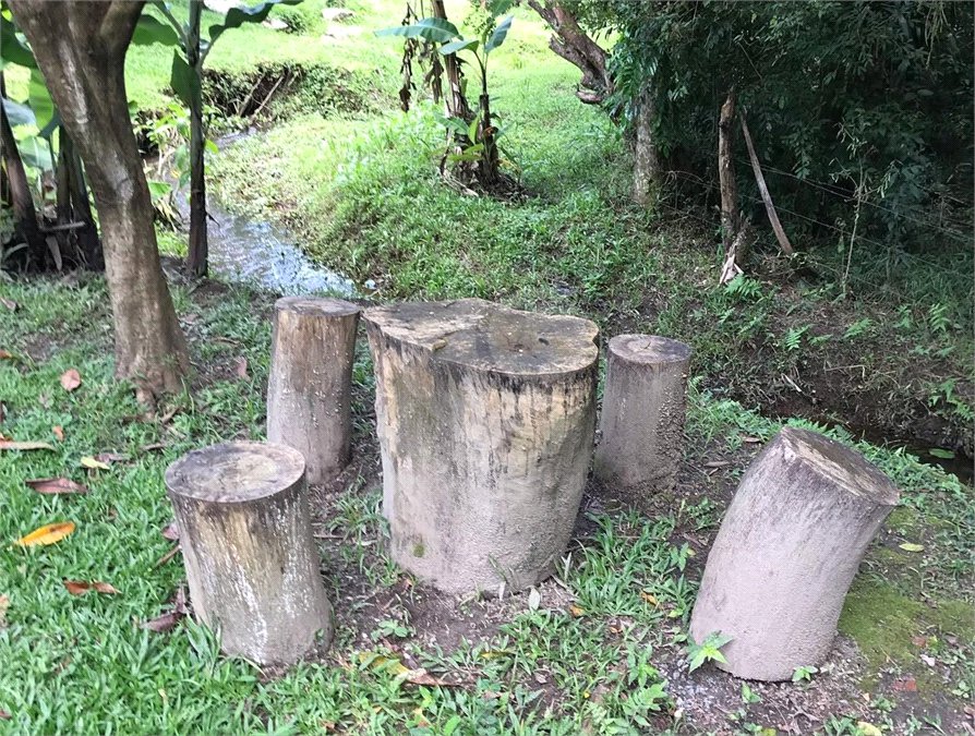 Chácara à venda com 3 quartos, sendo 1 suíte,  em Loteamento Jardim Nova Ibiúna, Ibiúna, SP