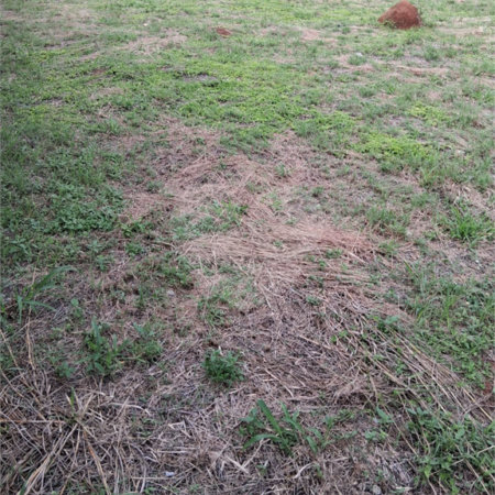 Terreno à venda em Mato Dentro, Mairinque, SP