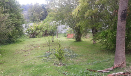 Terreno para alugar em Jardim Rene, São Roque, SP