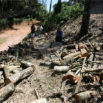 Terreno à venda em Serra da Cantareira, Mairiporã, SP