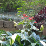 Apartamento á venda - Saúde