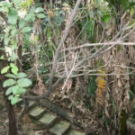Terreno à venda em Jardim Jussara, São Paulo, SP