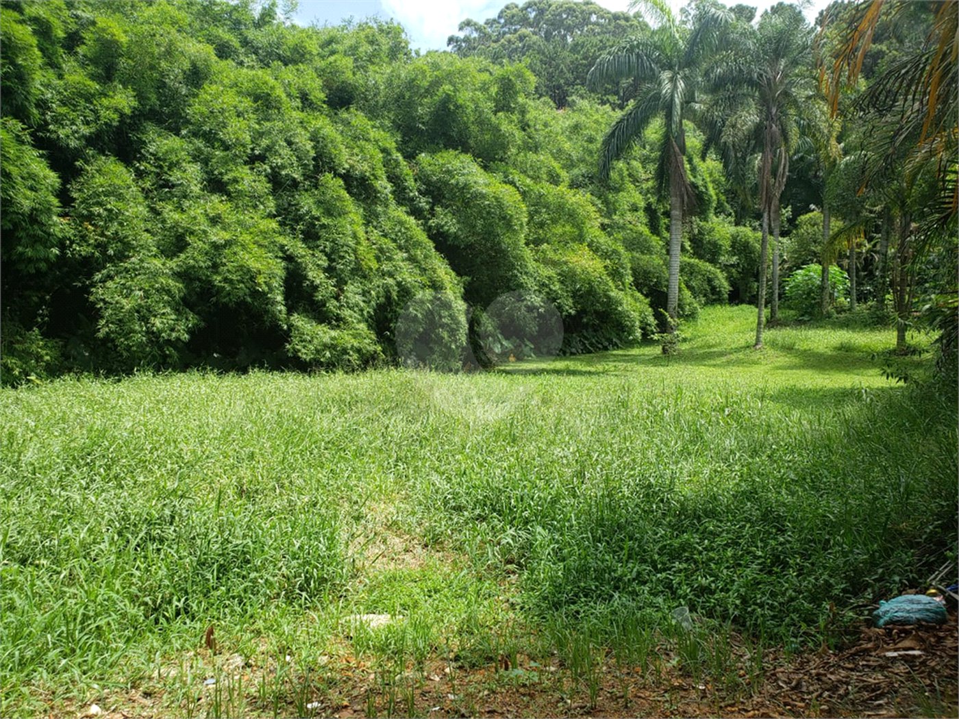 Terreno à venda em Horto, São Paulo, SP