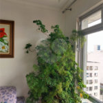 Apartamento à venda com 2 quartos em Barra Funda, São Paulo, SP
