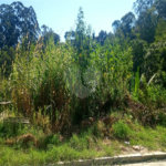 Terreno à venda em Serra da Cantareira, Mairiporã, SP