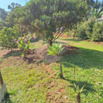 Chácara à venda ou para alugar com 3 quartos, sendo 1 suíte,  em Parque Residencial Itapeti, Mogi das Cruzes, SP