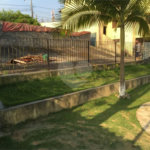 Casa à venda com 4 quartos, sendo 2 suítes,  em Vila Oliveira, Mogi das Cruzes, SP