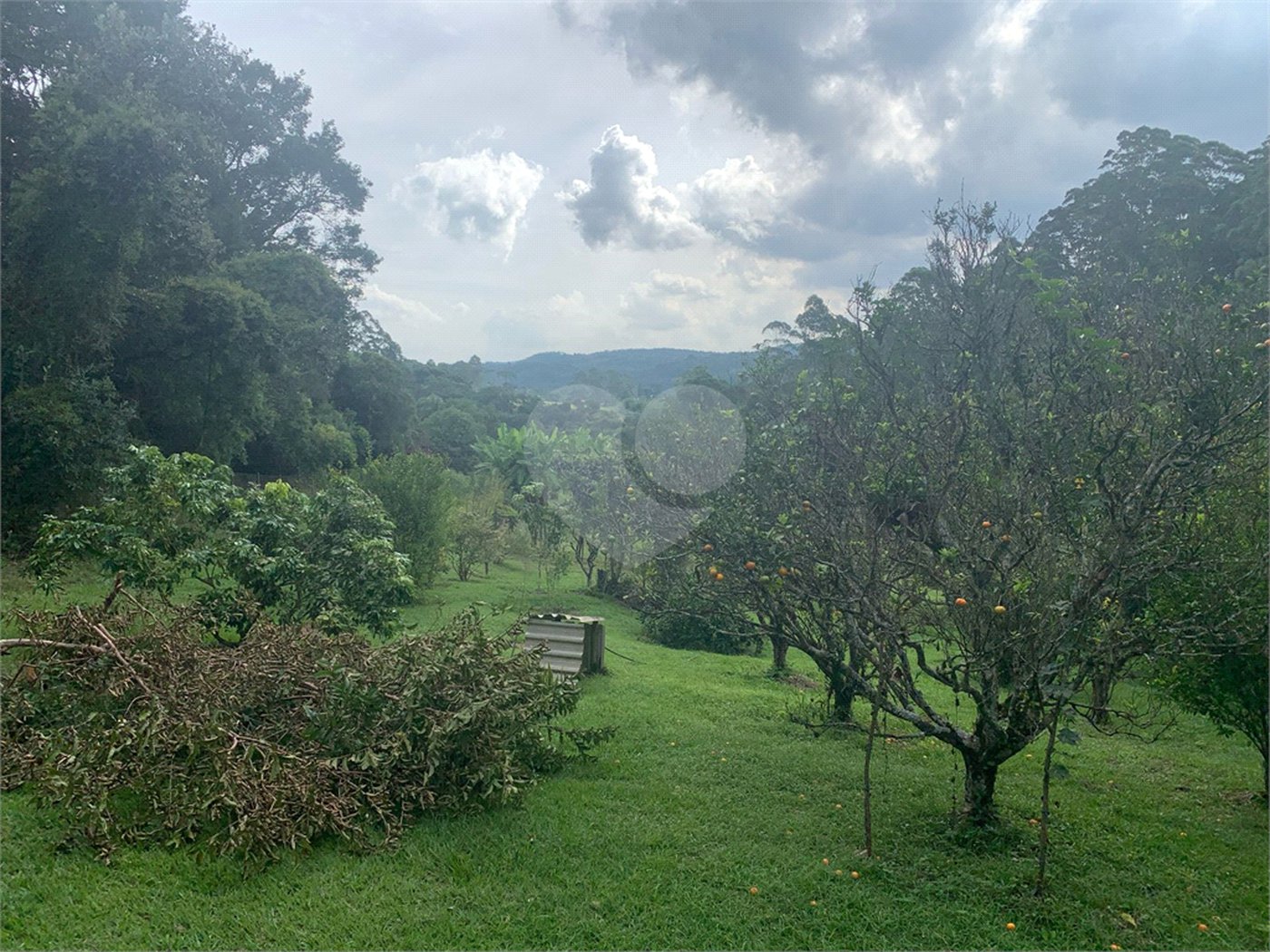 Chácara à venda em Sorocamirim (canguera), São Roque, SP
