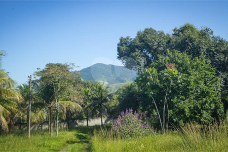 Área de Terra à venda com 1 suíte em Campo Grande, Rio de Janeiro, RJ