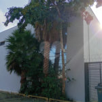 Prédio à venda ou para alugar em Socorro, São Paulo, SP