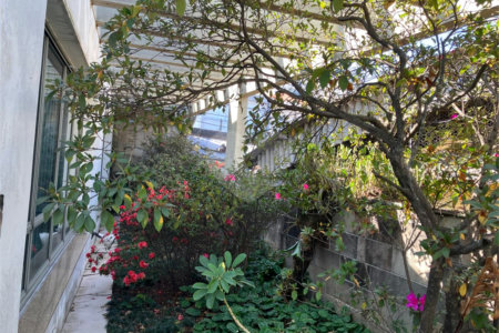 Casa à venda com 5 quartos, sendo 2 suítes,  em Vila Maria Alta, São Paulo, SP