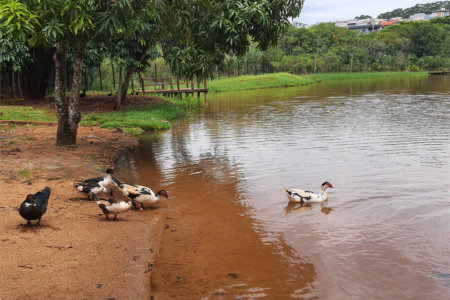 Terreno à venda no condomínio Alto da Boa Vista Cravinhos, Cravinhos - SP