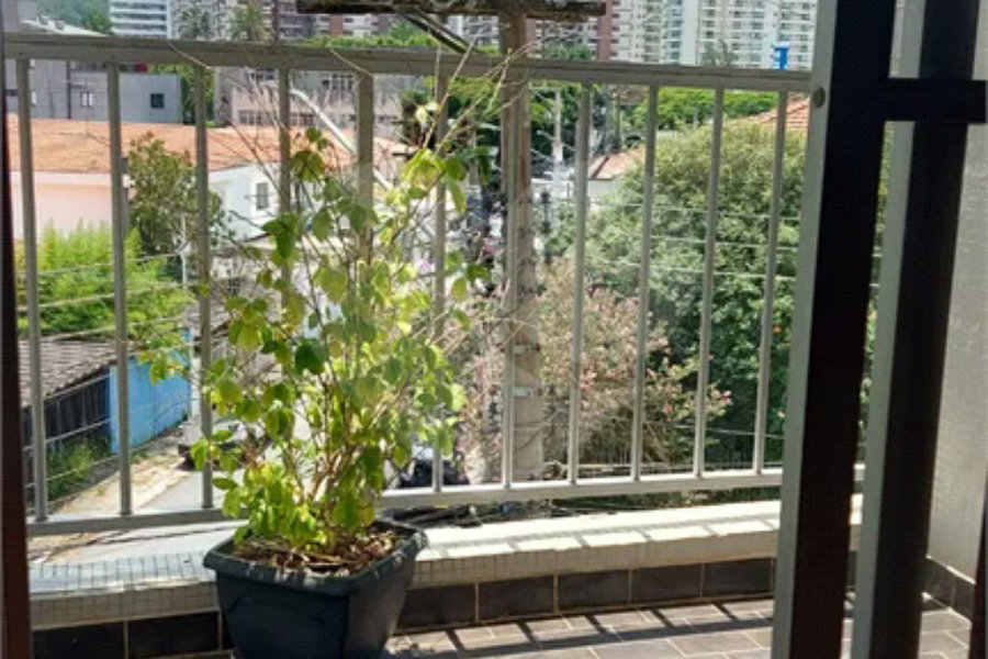 Apartamento com 2 Quartos à venda, 51m² - Jardim Caravelas