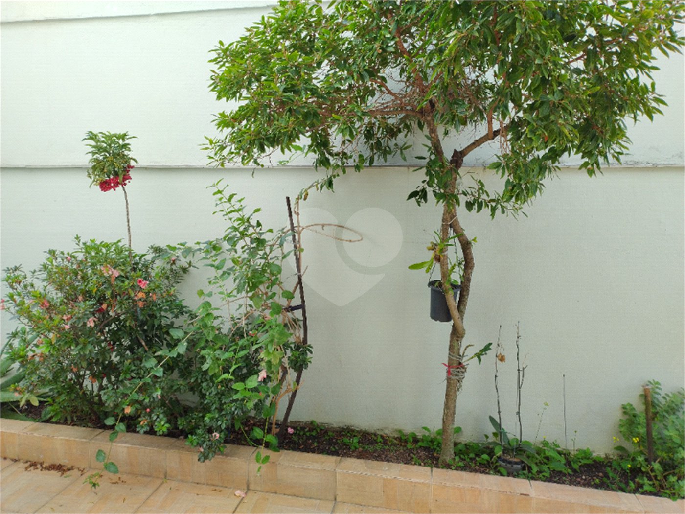 Sobrado à venda com 3 quartos, sendo 1 suíte, em Casa Verde, São Paulo, SP