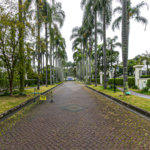 Casa à venda ou para alugar com 3 suítes no condomínio Palm Hill, São Paulo - SP