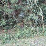 Terreno à venda no condomínio Associação Reserva das Hortênsias, Mairiporã - SP