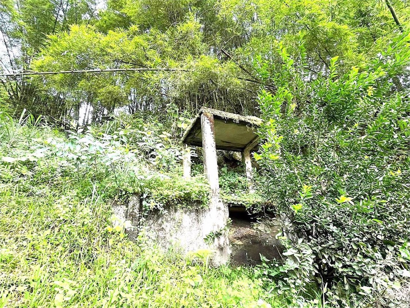 Terreno Residencial à venda, Morro de Nova Cintra, Santos - TE0034.