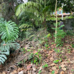 Terreno à venda no condomínio Jd Leonor, São Paulo - SP