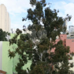 Apartamento para alugar com 1 quarto em Bela Vista, São Paulo, SP