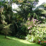 Casa Térrea à venda com 4 quartos, sendo 2 suítes, em Vila Tramontano, São Paulo, SP