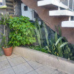 Casa à venda com 3 quartos em Vila Guilherme, São Paulo, SP