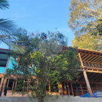 Casa para alugar com 3 quartos, sendo 1 suíte,  em Serra da Cantareira, Mairiporã, SP