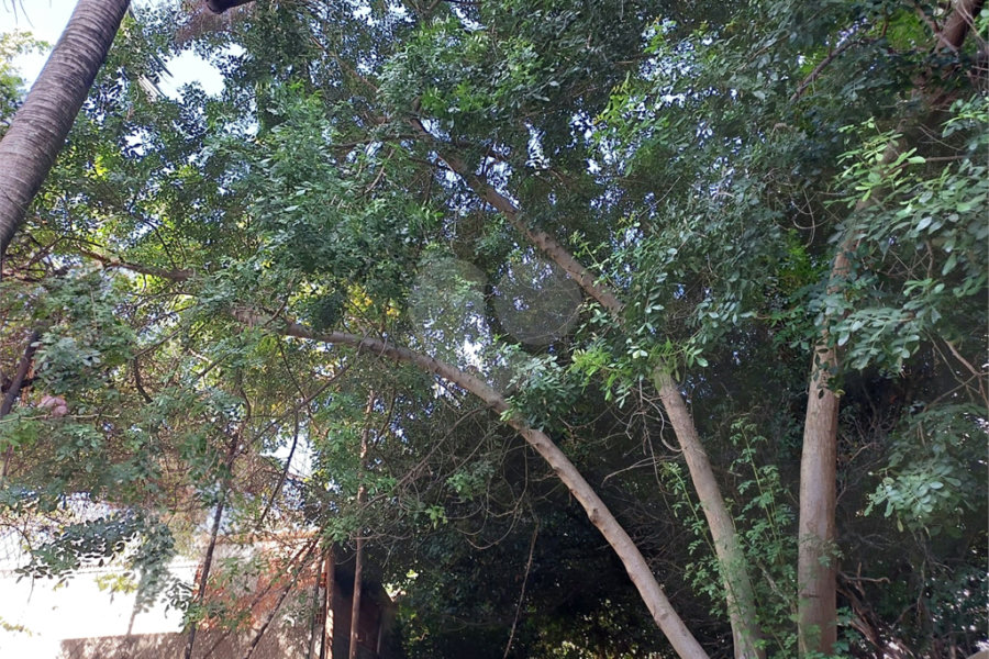 Terreno à venda ou para alugar em Perdizes, São Paulo, SP