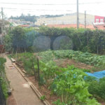 Terreno à venda em Irmãos Chiquetto, Louveira, SP