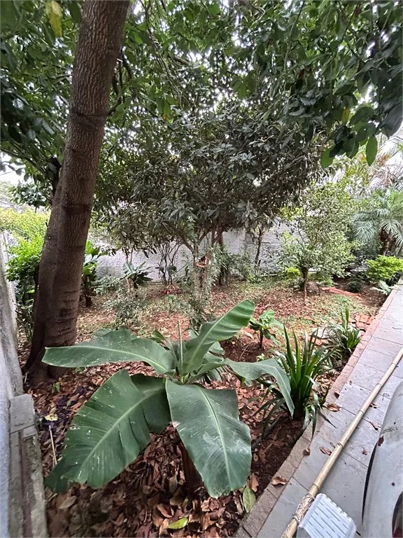 Casa à venda com 3 quartos em Parque Sonia, São Paulo, SP