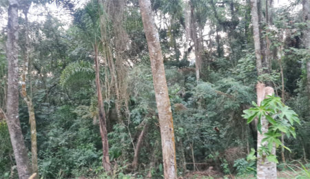 Condomínio à venda em Serra da Cantareira, Mairiporã, SP
