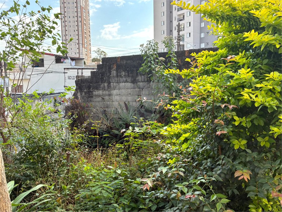Terreno à venda em Vila Fiuza, Guarulhos, SP