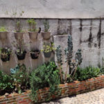 Casa à venda com 2 quartos em Água Fria, São Paulo, SP
