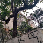 Prédio à venda em Santana, São Paulo, SP