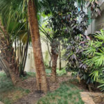 Apartamento 45m2 com 2 dormitórios e vaga no Jardins