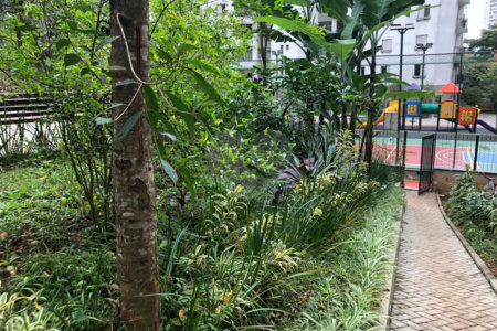Apartamento à venda com 3 quartos, sendo 1 suíte, em Vila Andrade, São Paulo, SP