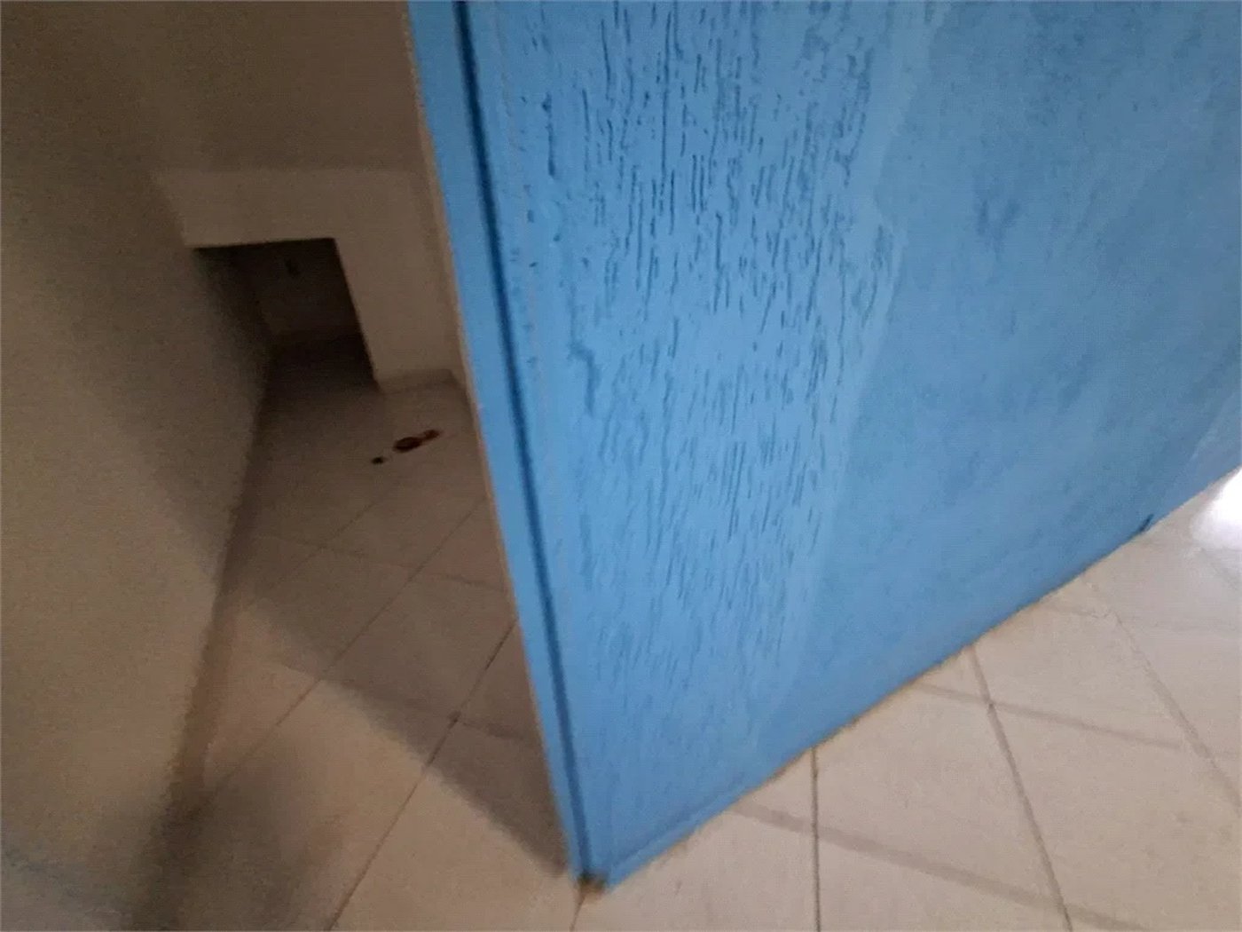 Salão para alugar em Vila Polopoli, São Paulo, SP