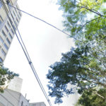 Apartamento à venda em Liberdade, São Paulo, SP