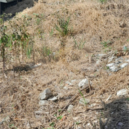 Terreno à venda em Jardim Maristela, Atibaia, SP
