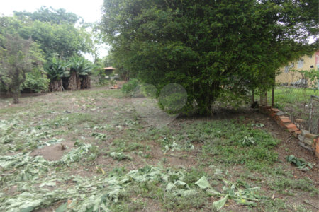 Terreno à venda em Pinheirinho, Vinhedo, SP