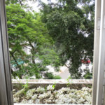 Apartamento à venda com 2 quartos em Vila Parque Jabaquara, São Paulo, SP