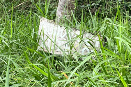 Terreno à venda no condomínio Brisa 1, Mogi das Cruzes - SP