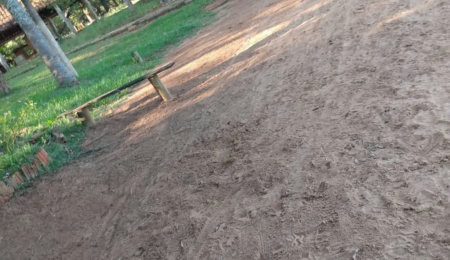 Sítio à venda com 2 quartos, sendo 1 suíte,  em Rural, Três Lagoas, MS