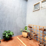 Casa à venda com 3 quartos, sendo 1 suíte, em Campos Elíseos, Ribeirão Preto, SP