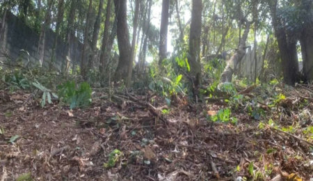 Terreno à venda em Jardim Peri Peri, São Paulo, SP